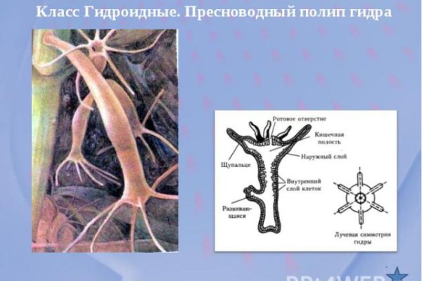 Кракен ссылка настоящая