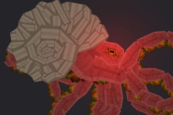 Kraken наркошоп