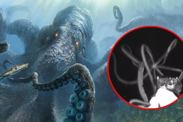 Магазин кракен даркнететамбов