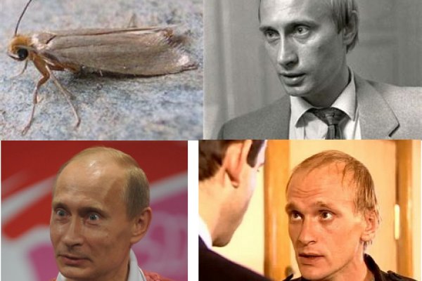Сайт krn